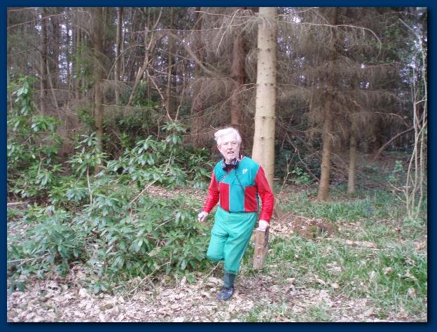 600x449 pixels (191K)